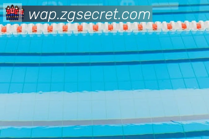 开云app品牌故事