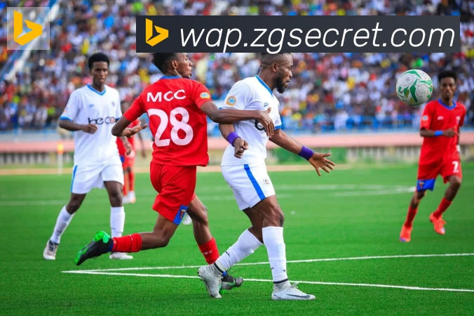 开云app服务体系