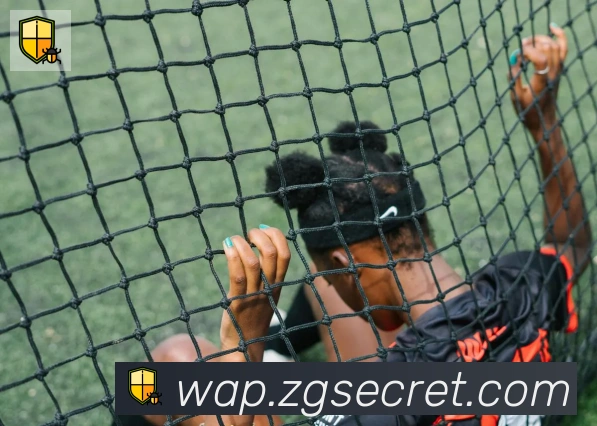 开云appAPP 封面图