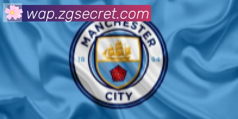 开云app合作伙伴