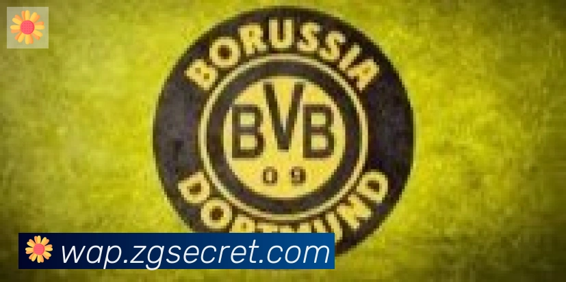 开云app合作伙伴